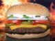 Czy McDonald wypłacą dywidendę?