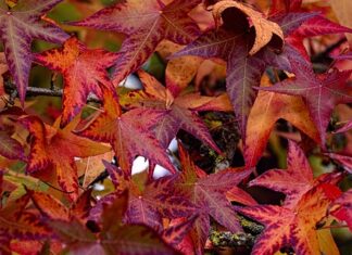 Jak prawidłowo przeprowadzić likwidację środków trwałych?